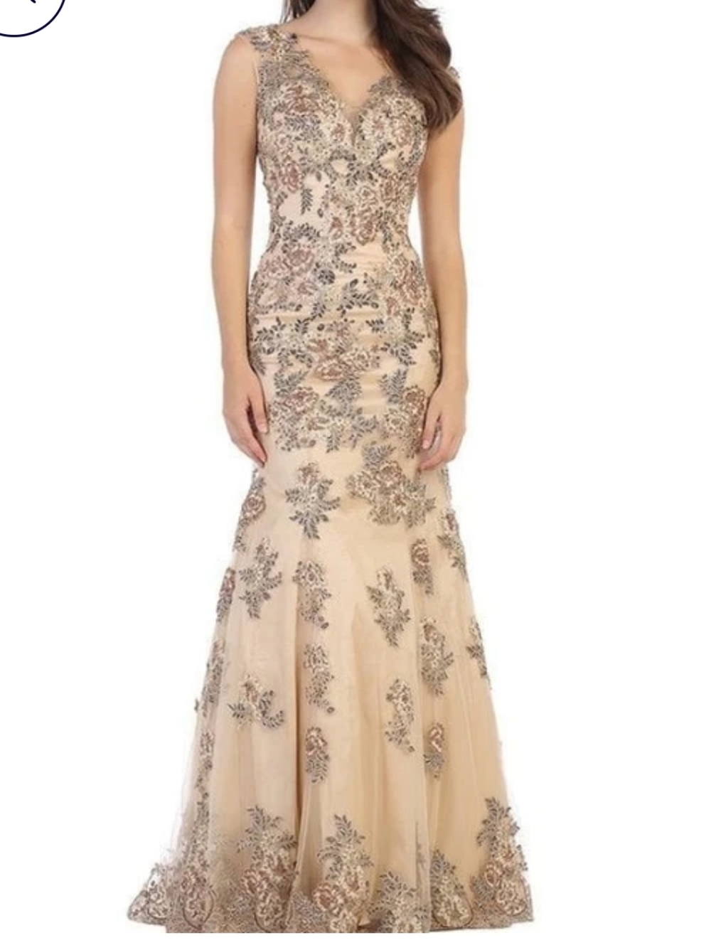 Embellished Floral V-Neck Evening Gown in Champagne